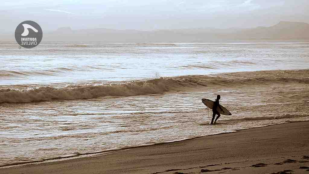 Quand surfer sur la côte basque ?