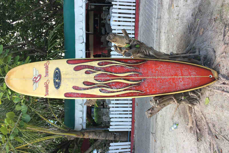 Quelle taille pour un surf longboard ?