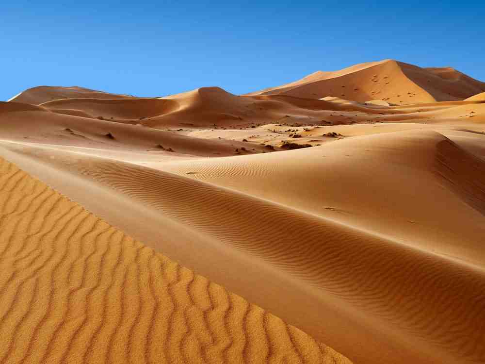 Comment on appelle les habitants du Sahara ?